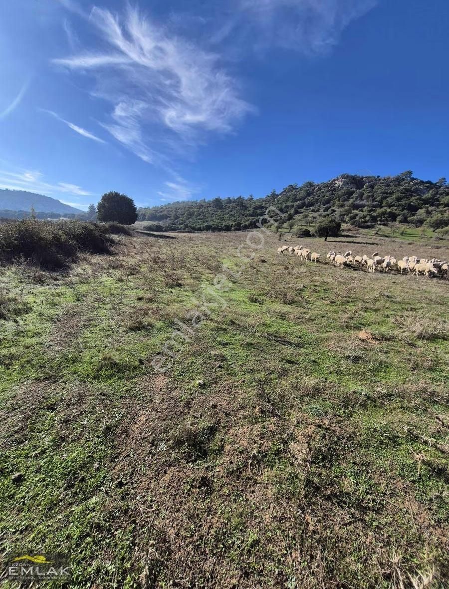 Çanakkale Geyikli Yolu Hisaralan Köyünde Satılık Tarla - Görsel 8