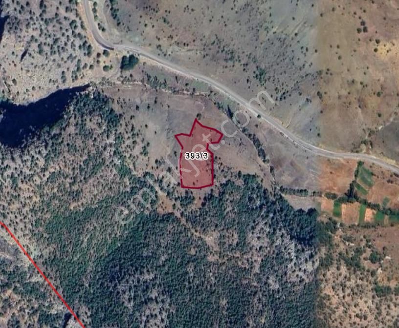 Konya Hadim Sarnıç Köyünde 4.656 M² Bağ Satılıktır - Görsel 10