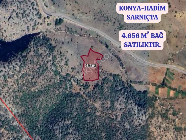 Konya Hadim Sarnıç Köyünde 4.656 M² Bağ Satılıktır - Görsel 13