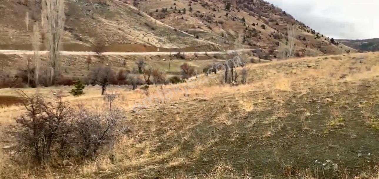 Konya Hadim Sarnıç Köyünde 4.656 M² Bağ Satılıktır