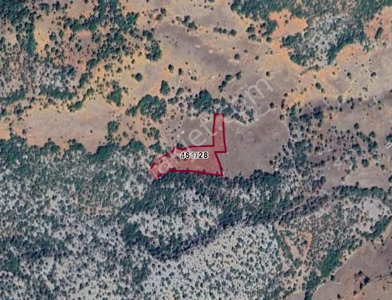 Konya Hadim Aşağıhadim Köyünde 4.627 M² Bağ Satılıktır