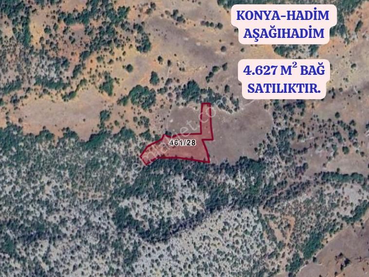 Konya Hadim Aşağıhadim Köyünde 4.627 M² Bağ Satılıktır - Görsel 3