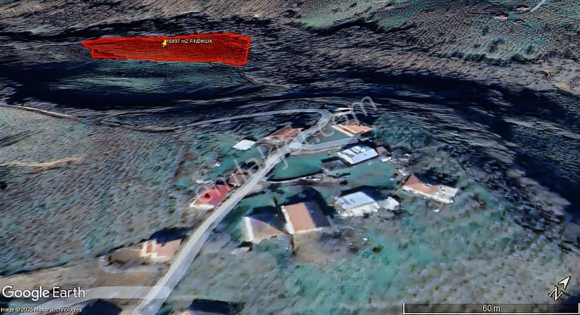 12şeker Emlak Sümbüllü Mah.16897m2 Satılık İmarlı Fındık Bahçesi - Görsel 5