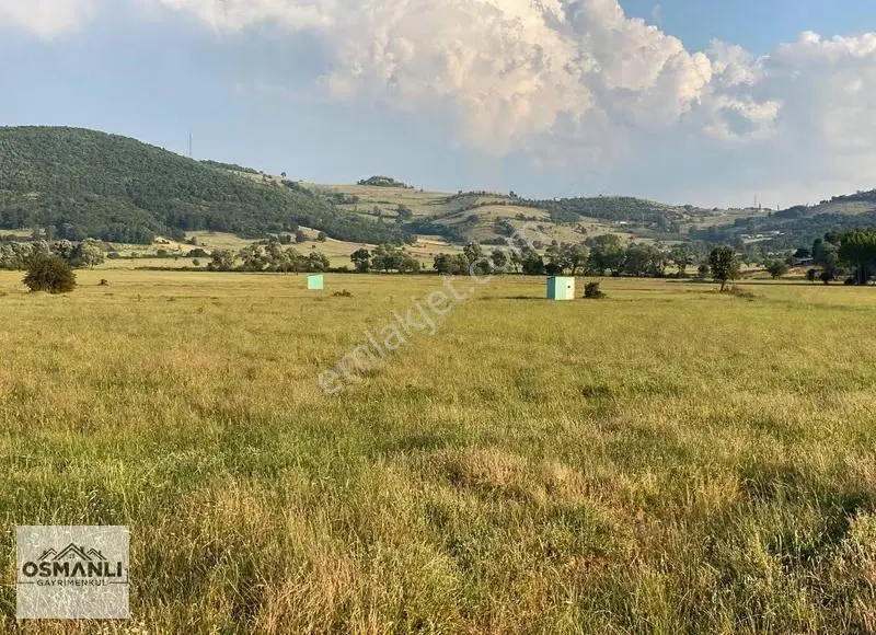 Hisarcık'ta 4.675 M2 Köşe Parsel Yatırım Fırsatı - Görsel 4