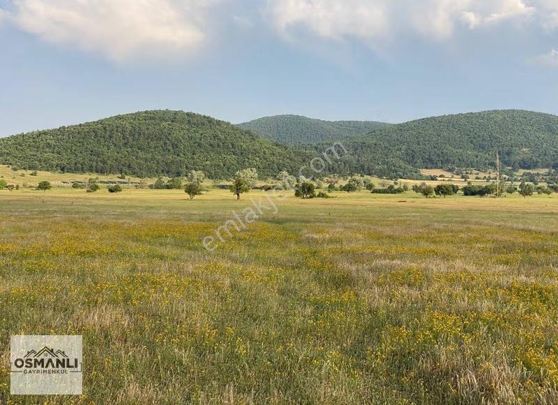 Hisarcık'ta 4.675 M2 Köşe Parsel Yatırım Fırsatı - Görsel 30