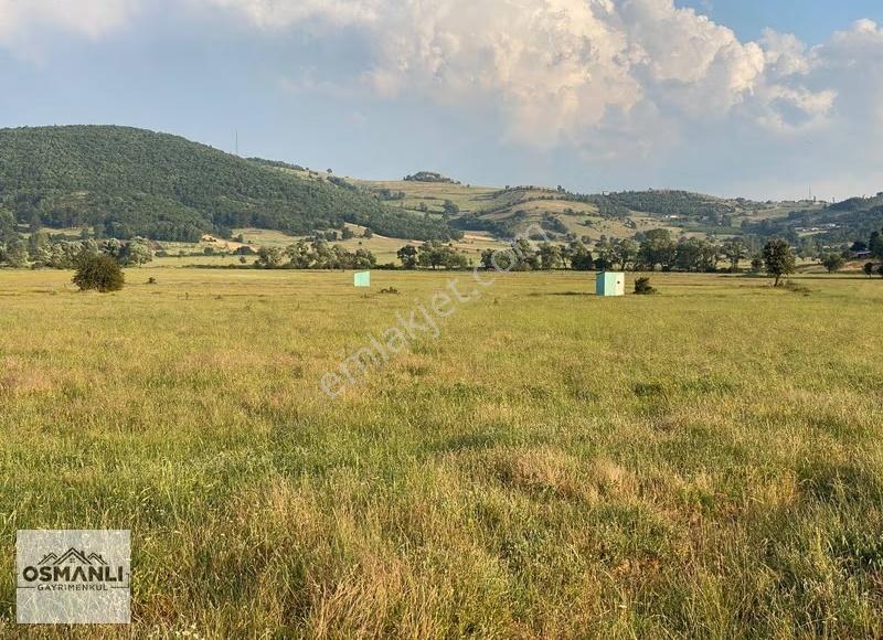 Hisarcık'ta 4.675 M2 Köşe Parsel Yatırım Fırsatı - Görsel 5