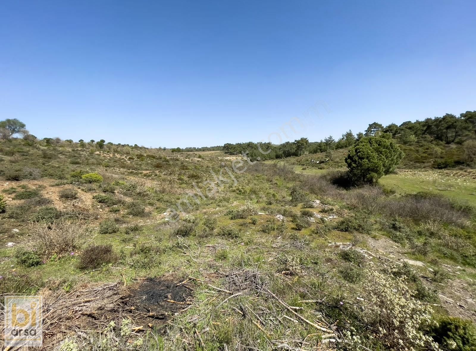 Ezine Çamlıca'da 16.964 M² Turizm İmarlı Köyiçi Arsa - Görsel 7