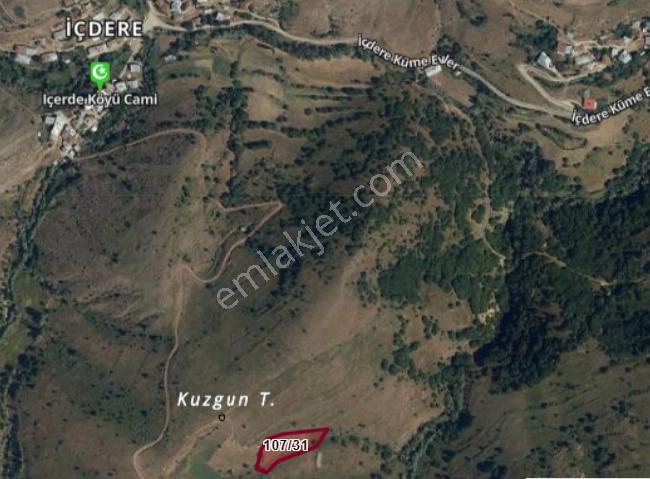 Sivas Doğanşar İçdere Köyünde 3.037 M² Tarla Satılıktır