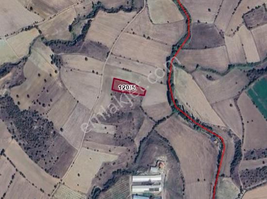 Uşak Eşme Bozlar Köyü’nde 4527 M² Tarla Satılıktır