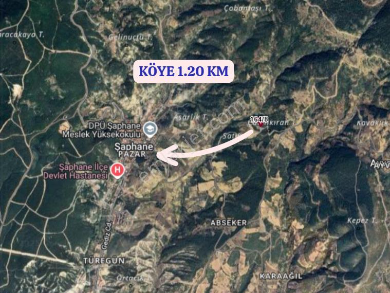Kütahya Şaphane Pazar Köyünde 4.102 M² Bahçe Satılıktır - Görsel 9