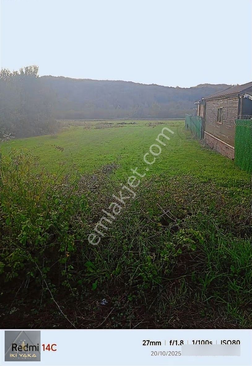 Bütçem Düşük Ama Kendi Dünyamı Kurmak İstiyorum Diyenlere - Görsel 2