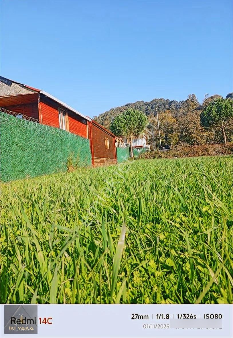 Bütçem Düşük Ama Kendi Dünyamı Kurmak İstiyorum Diyenlere