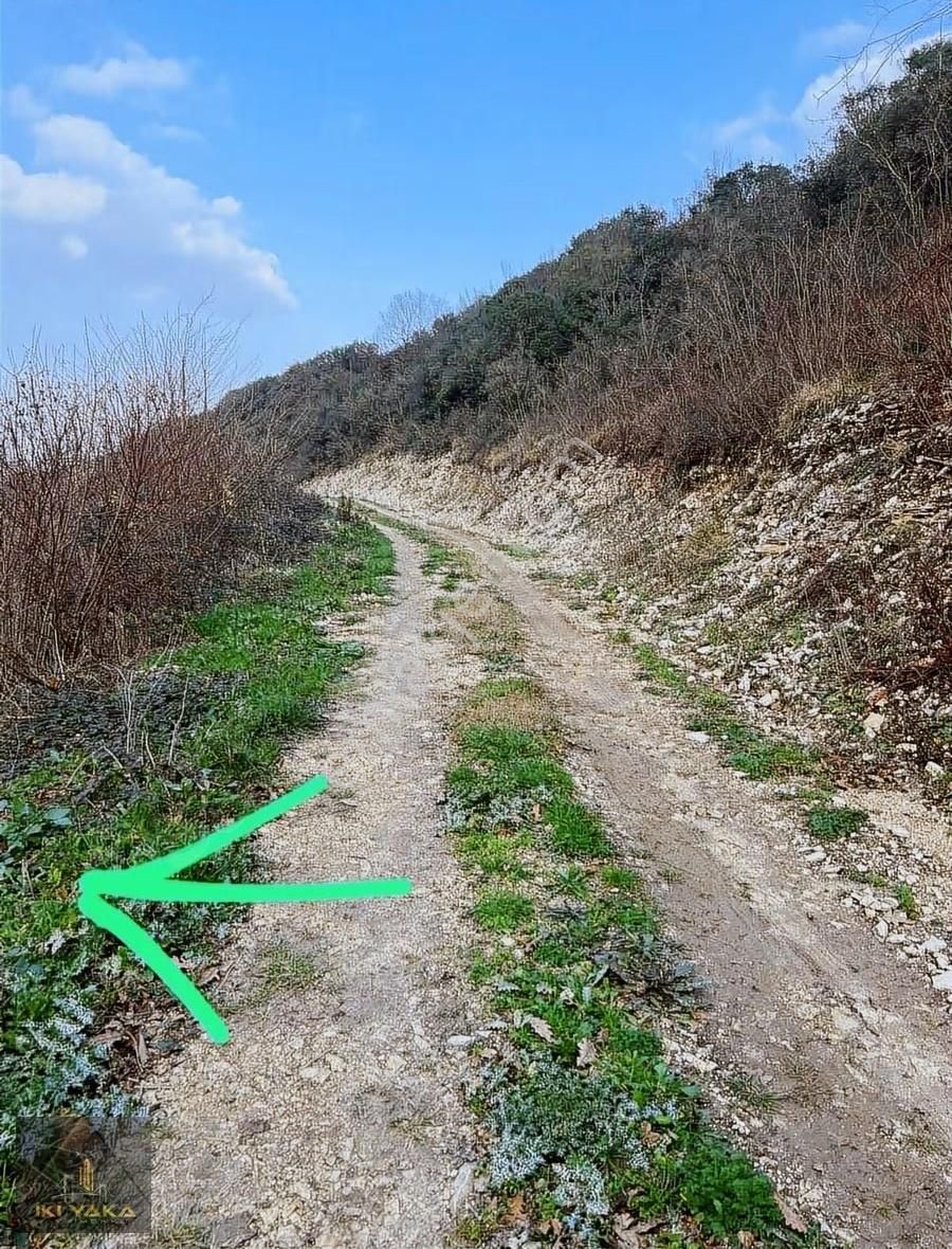 İkiyaka' Dan Kocaeli Kandıra Deliveli' De Fırsat 1131 M2 Arsa - Görsel 6