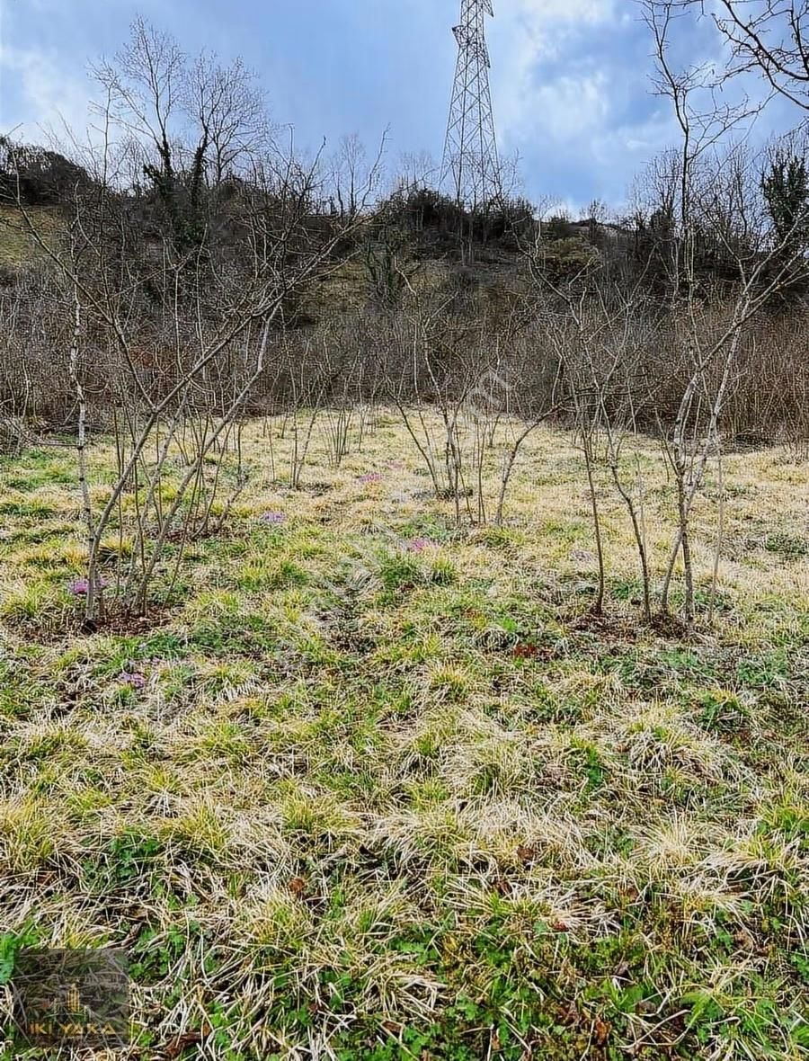 İkiyaka' Dan Kocaeli Kandıra Deliveli' De Fırsat 1131 M2 Arsa - Görsel 5