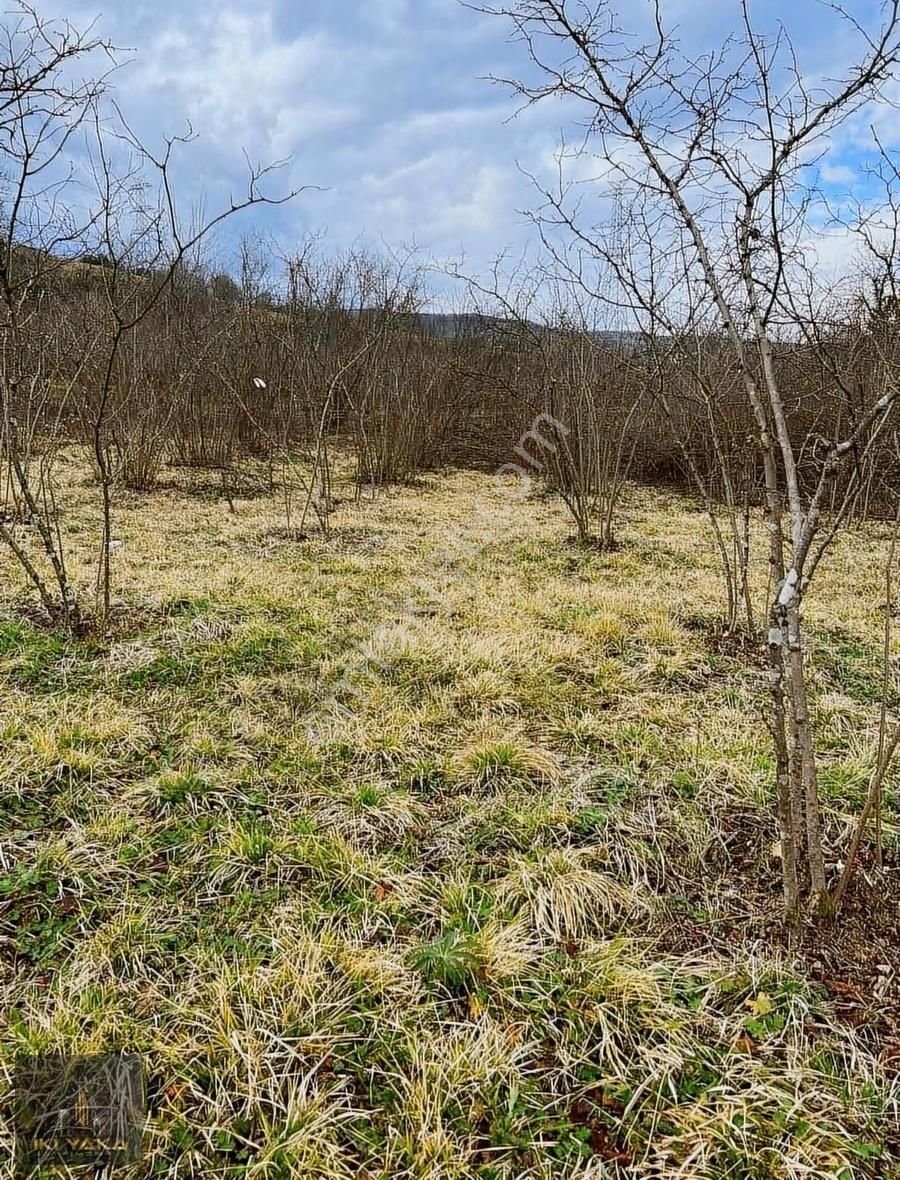 İkiyaka' Dan Kocaeli Kandıra Deliveli' De Fırsat 1131 M2 Arsa - Görsel 11