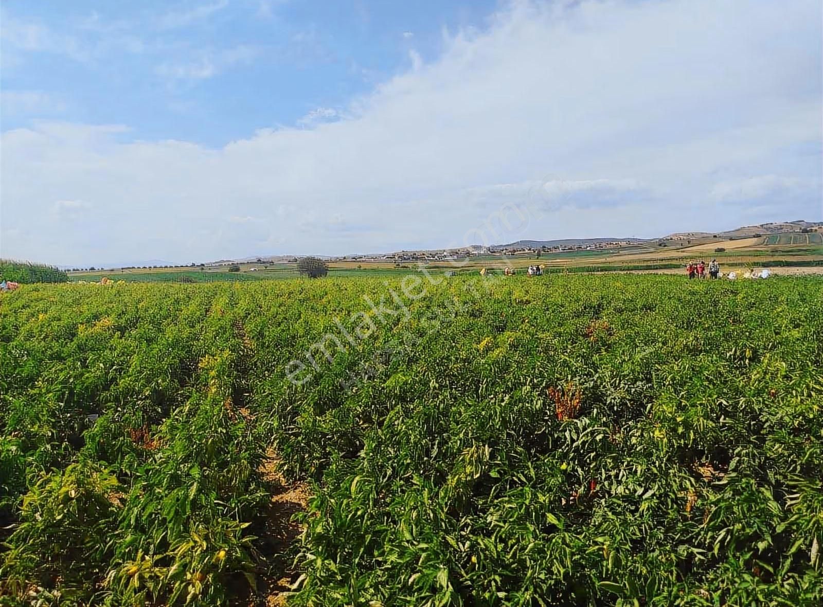 Y Şehir De Satılık Yolu Suyu Mevcut 9.515m2 Tarla - Görsel 11