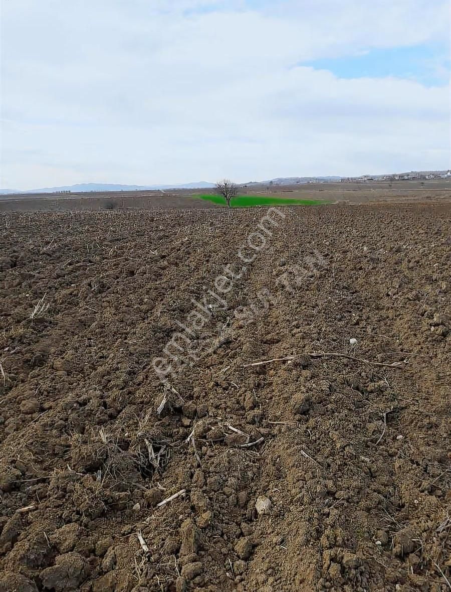 Y Şehir De Satılık Yolu Suyu Mevcut 9.515m2 Tarla - Görsel 6