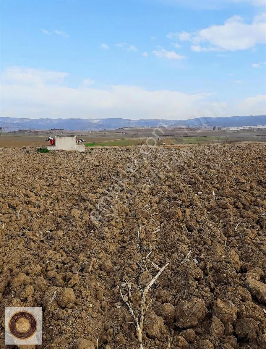 Y Şehir De Satılık Yolu Suyu Mevcut 9.515m2 Tarla - Görsel 3