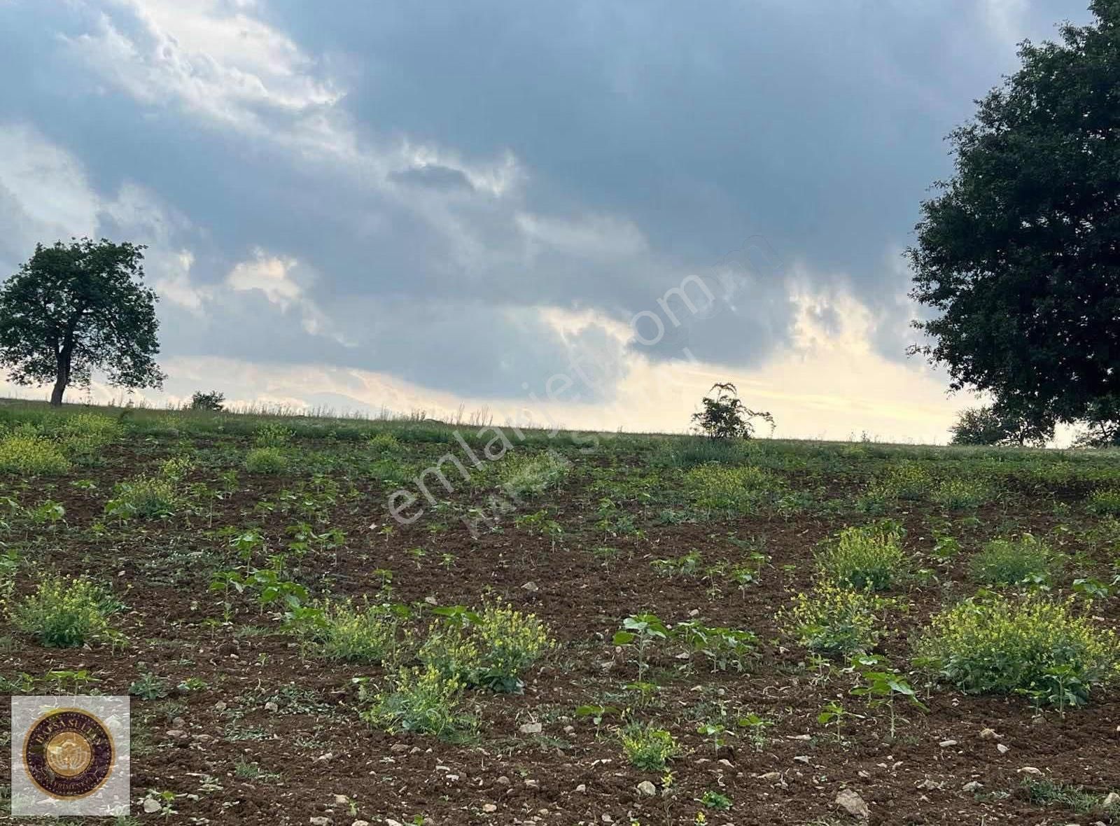İnegöl Dömez Mh Satılık Toplam 3.000m2 - Görsel 14