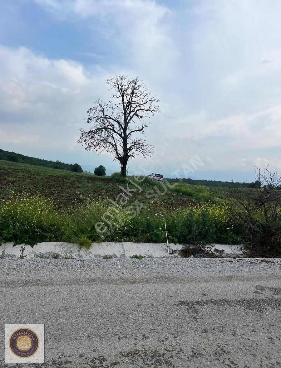 İnegöl Dömez Mh Satılık Toplam 3.000m2 - Görsel 17