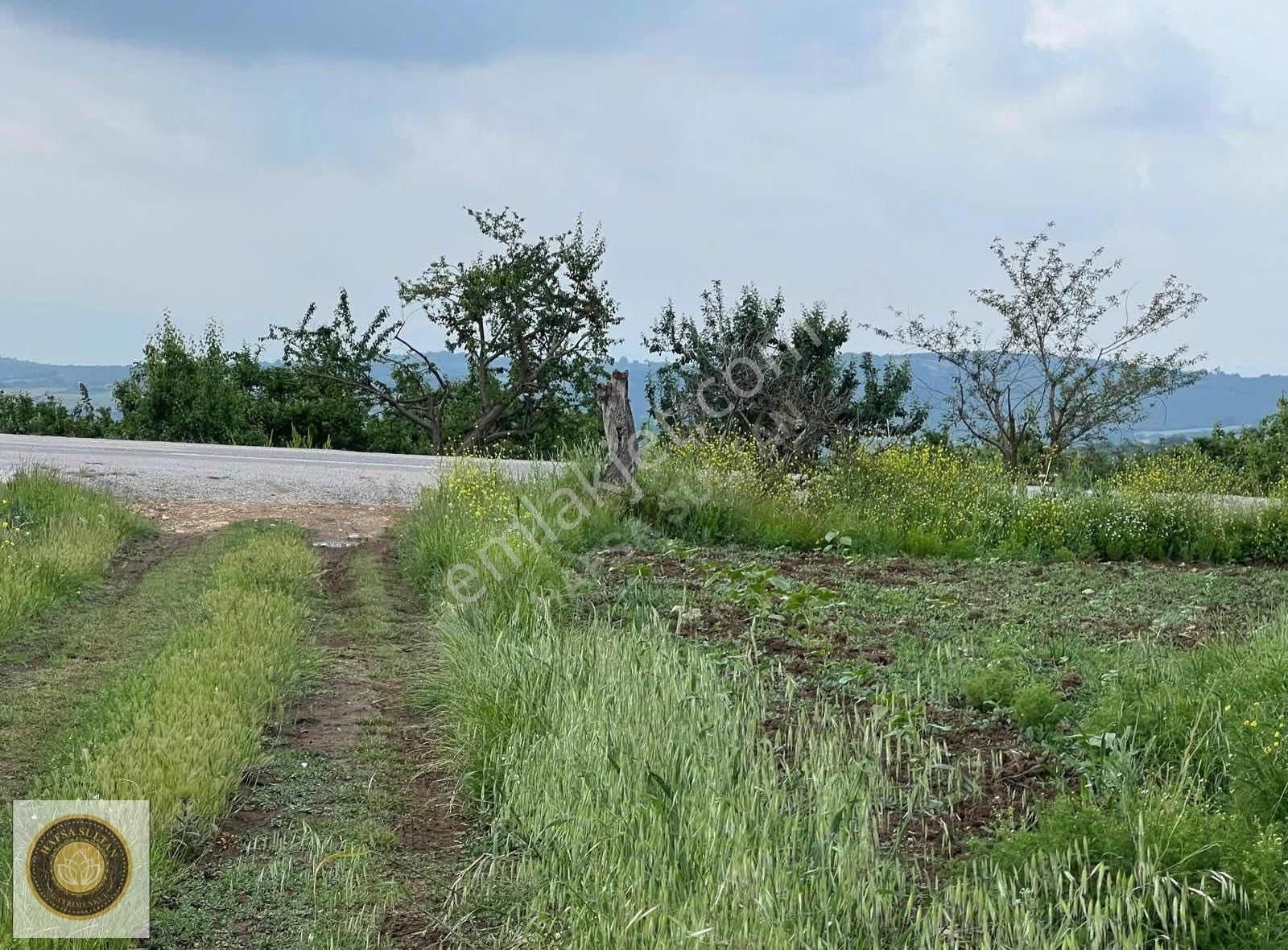 İnegöl Dömez Mh Satılık Toplam 3.000m2 - Görsel 8