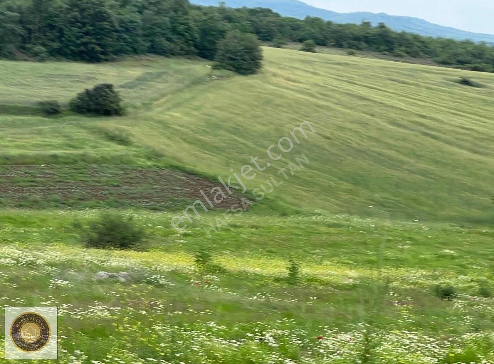 İnegöl Dömez Mh Satılık Toplam 3.000m2 - Görsel 4