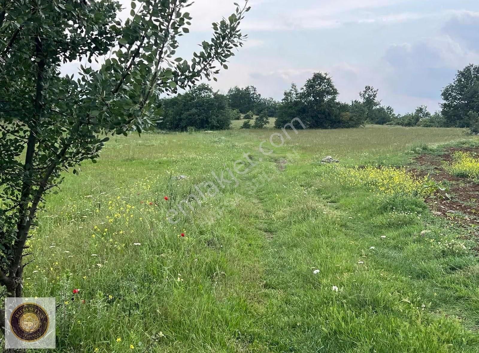 İnegöl Dömez Mh Satılık Toplam 3.000m2 - Görsel 3