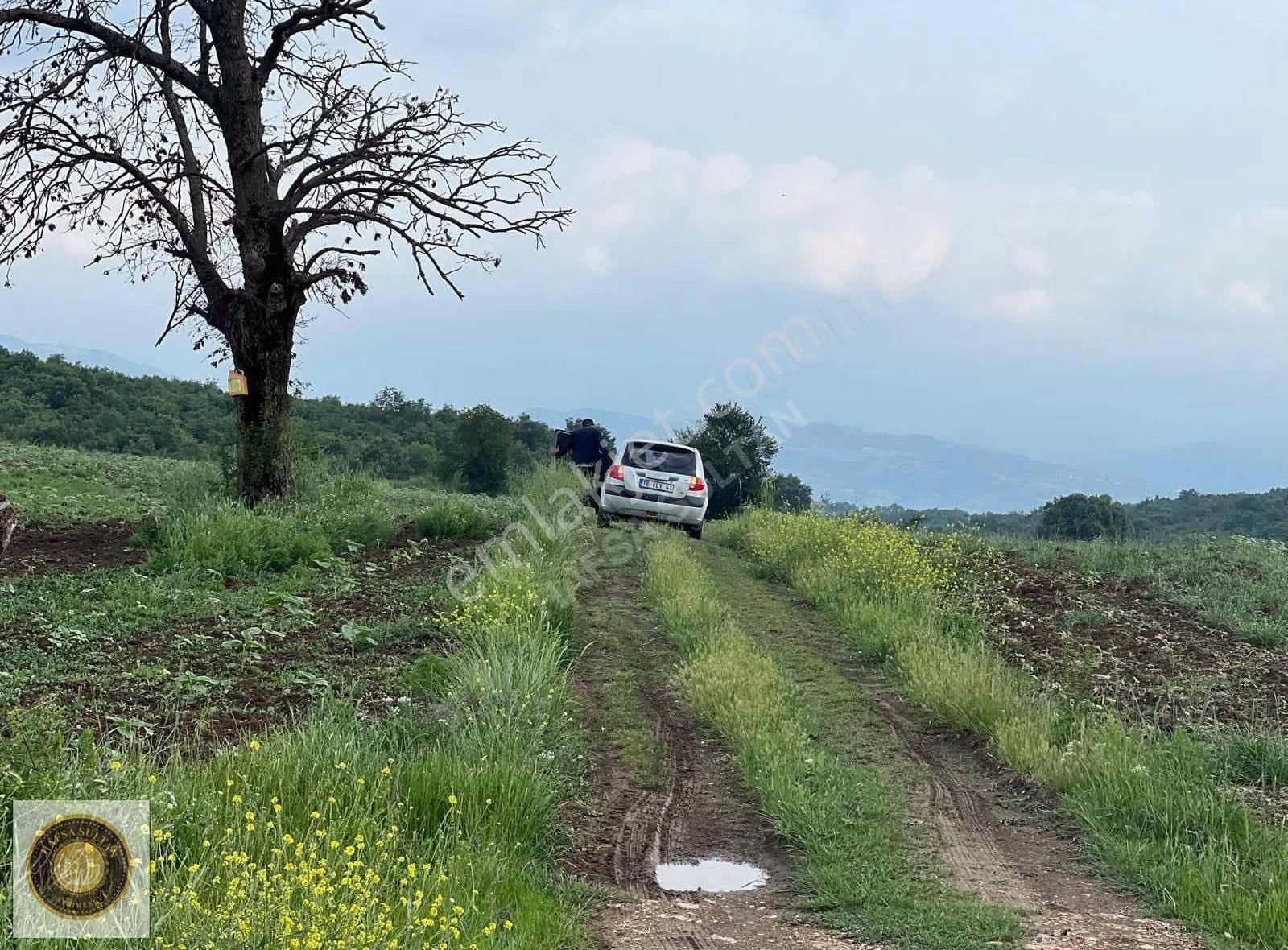 İnegöl Dömez Mh Satılık Toplam 3.000m2 - Görsel 19