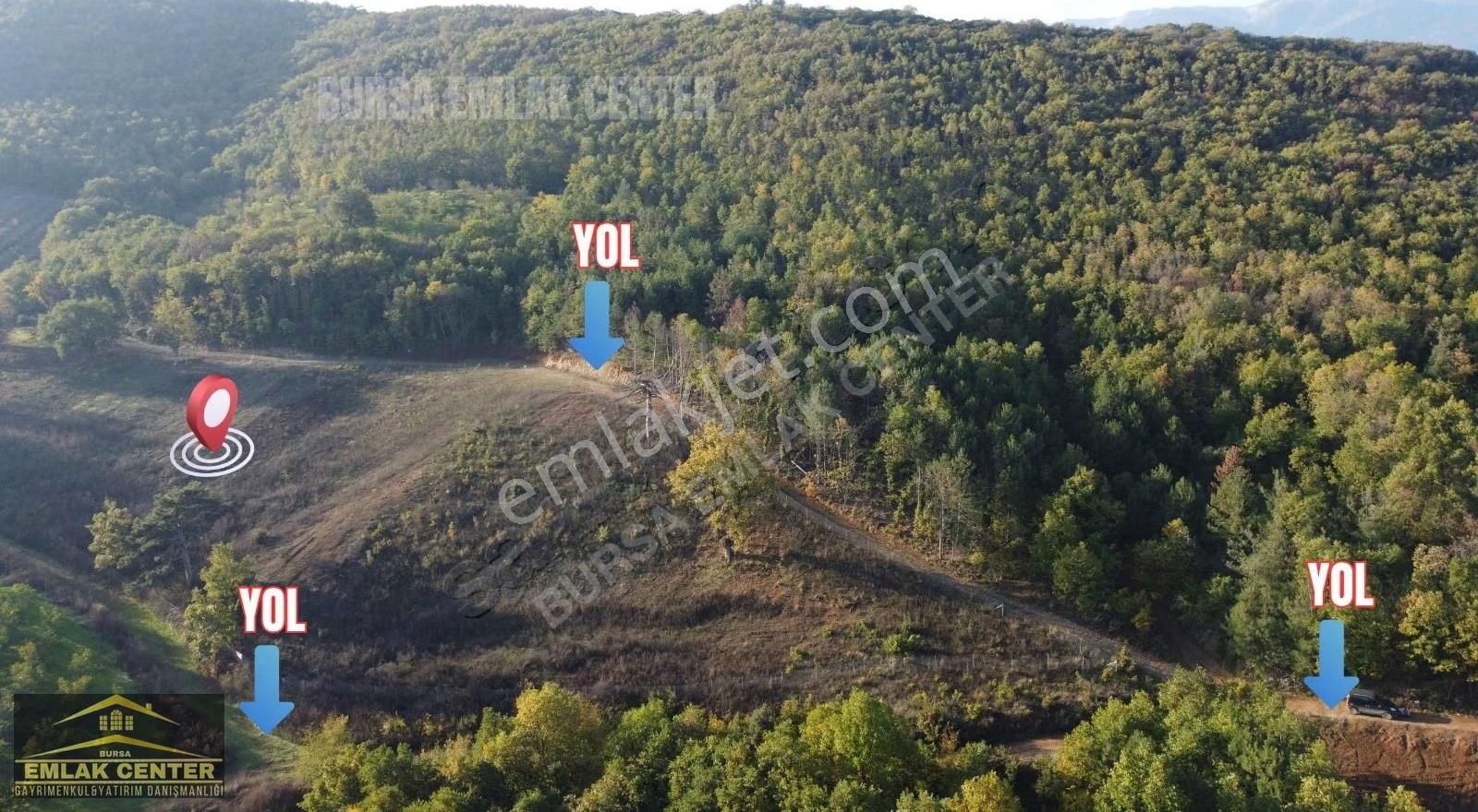 Kestel Aksuda 1745 M2 Tarla - Görsel 5