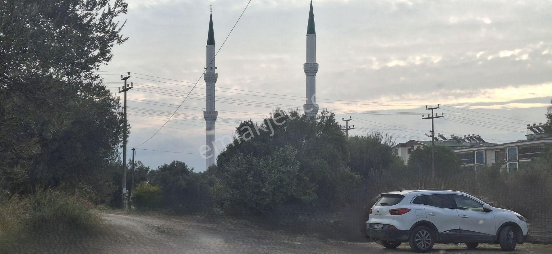 Durmuşoğlu Gayrimenkul'den Akçay-kızılkeçili'de Yatırımlık İmar Dibi Zeytinlik - Görsel 8