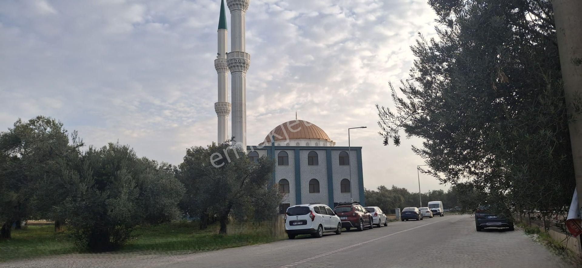Durmuşoğlu Gayrimenkul'den Akçay-kızılkeçili'de Yatırımlık İmar Dibi Zeytinlik - Görsel 9