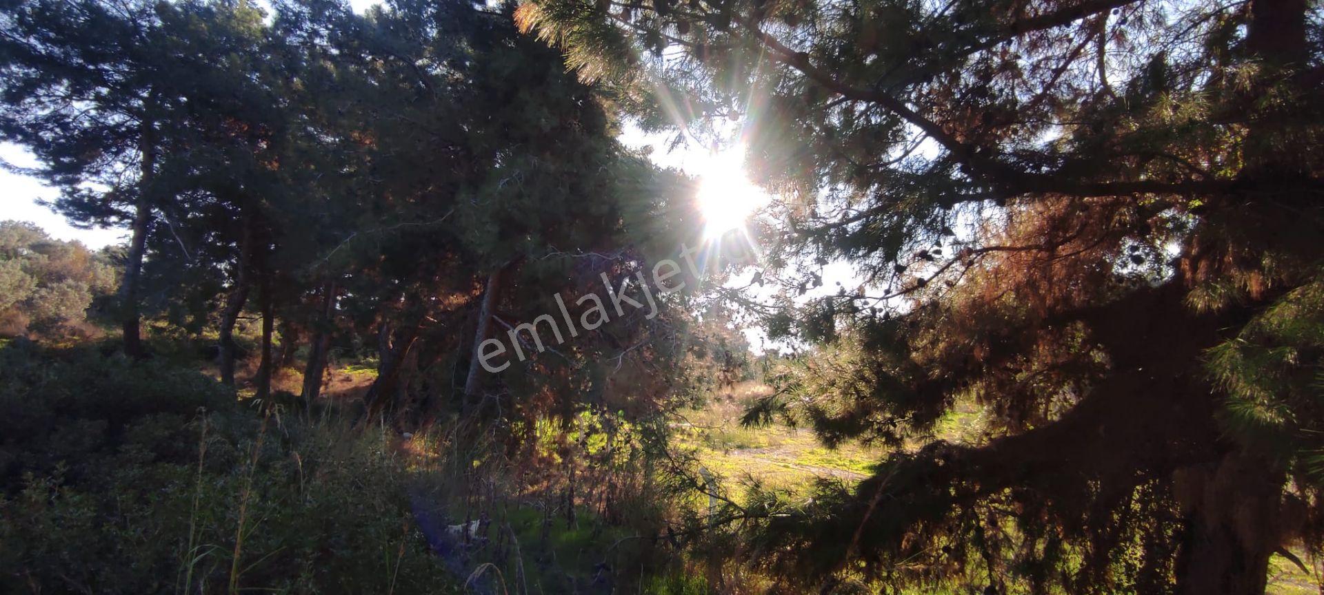 Soğucakta İnşaata Hazır Kelepir Villa Arazisi - Görsel 7