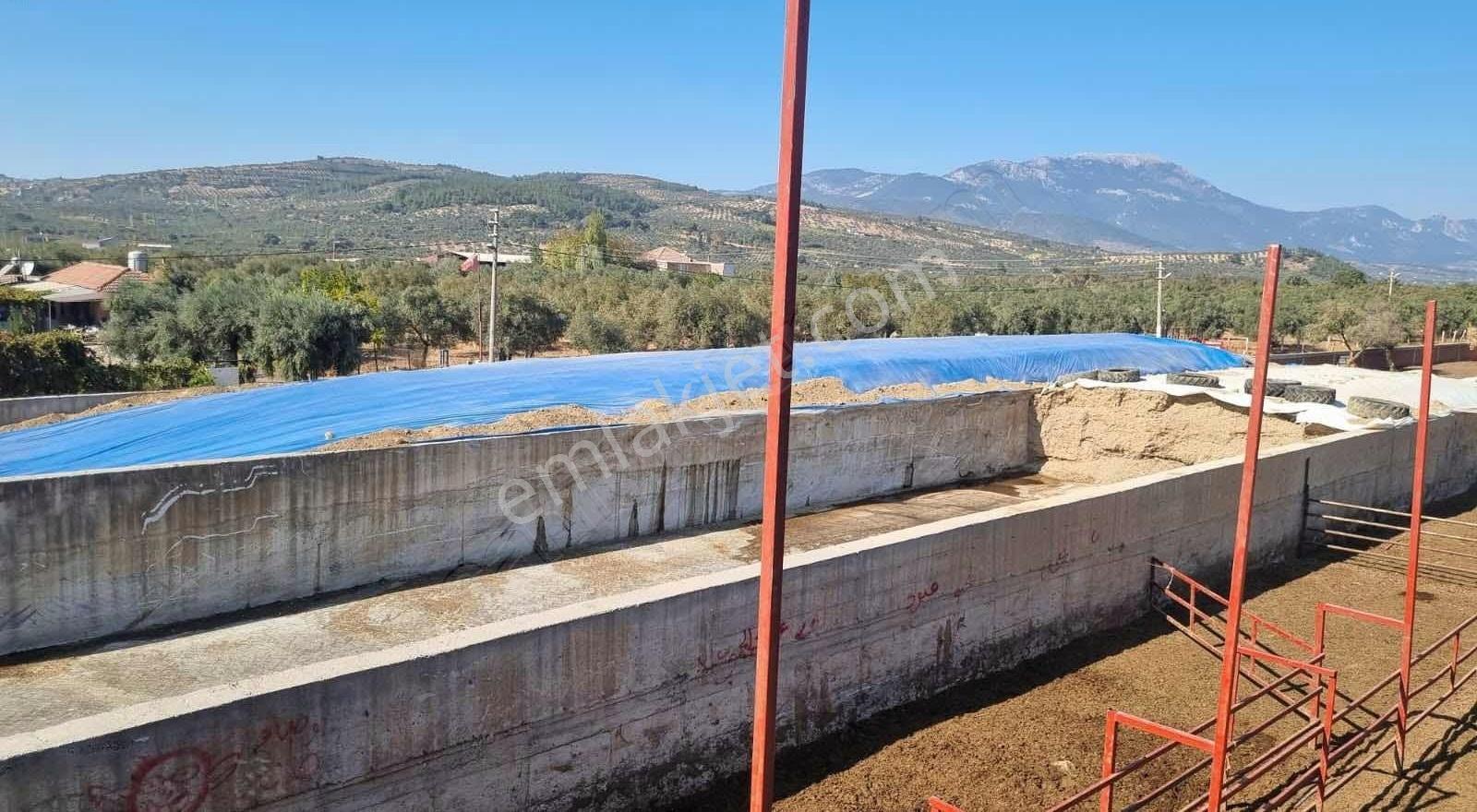 Capital Emlak'tan 500 Baş Kapasiteli Büyükbaş Hayvan İşletmesi - Görsel 8