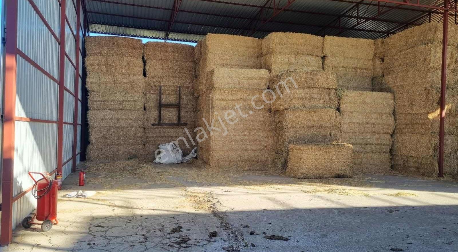 Capital Emlak'tan 500 Baş Kapasiteli Büyükbaş Hayvan İşletmesi - Görsel 13