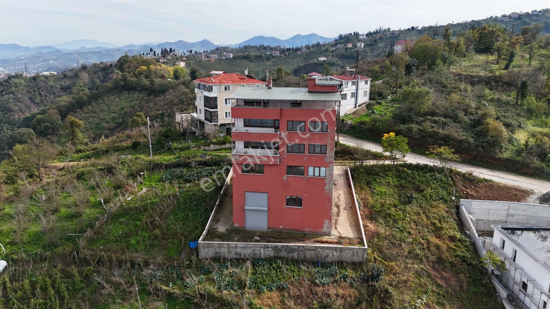 Altın Emlak Giresun'dan Seldeğirmeninde Deniz Ve Doğa Manzaralı Satılık Bina - Görsel 5