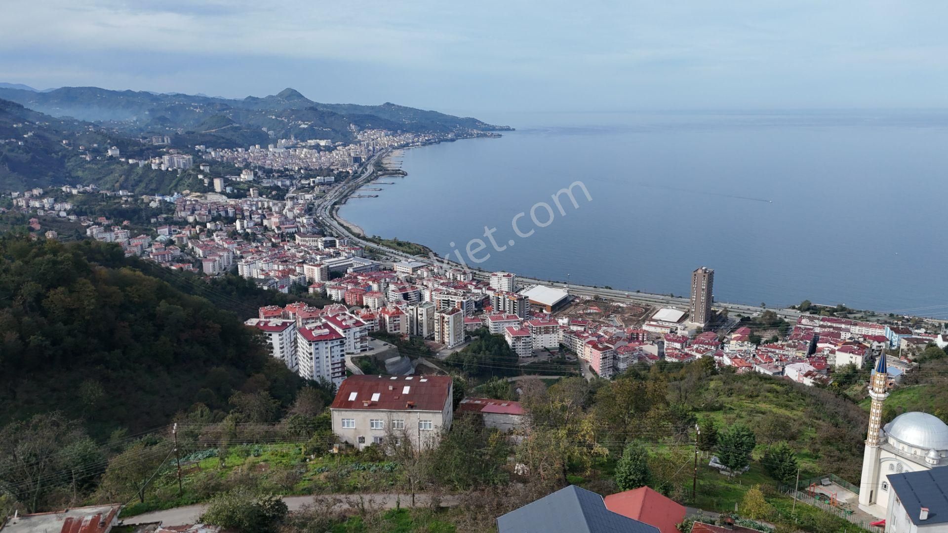 Altın Emlak Giresun'dan Seldeğirmeninde Deniz Ve Doğa Manzaralı Satılık Bina - Görsel 2
