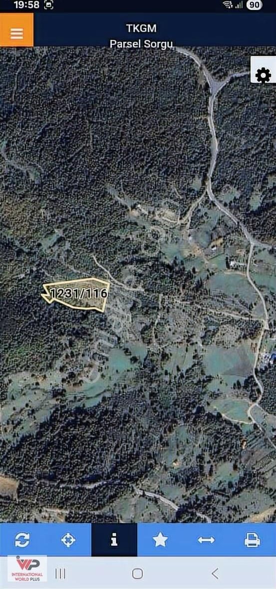 Şile Hacılı Da Satılık Tarla - Görsel 5