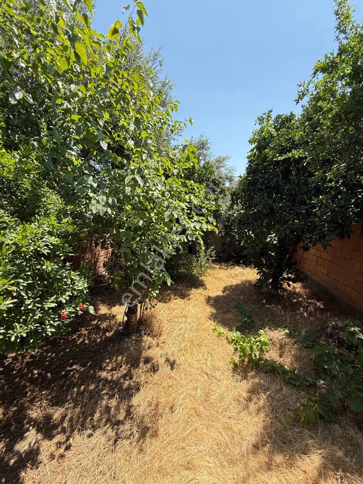 Aydın / Nazilli – Şirinevler Mahallesi’nde Satılık Müstakil Ev