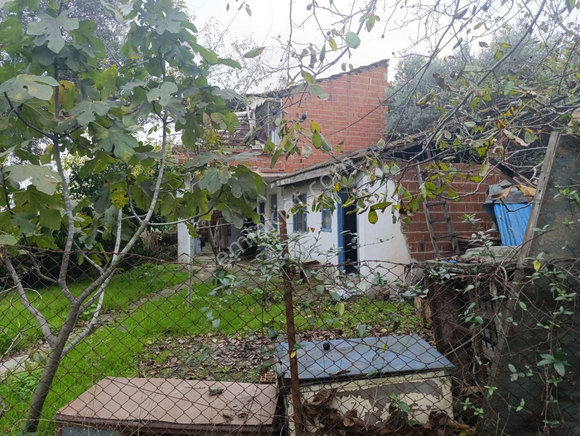 Mudanya Esence'de 176m2 Hobi Bahçesi - Görsel 7