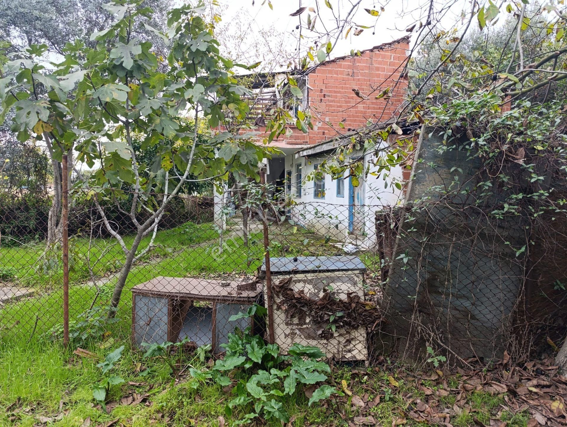 Mudanya Esence'de 176m2 Hobi Bahçesi - Görsel 3