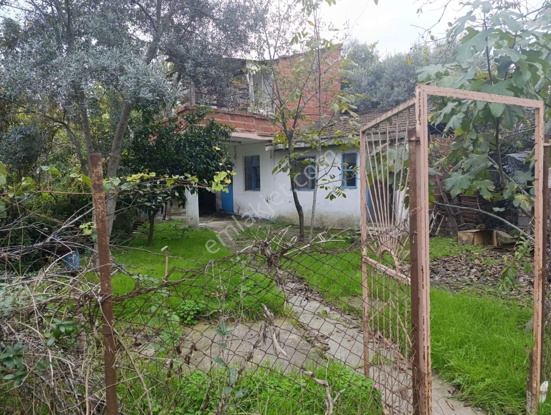Mudanya Esence'de 176m2 Hobi Bahçesi - Görsel 4