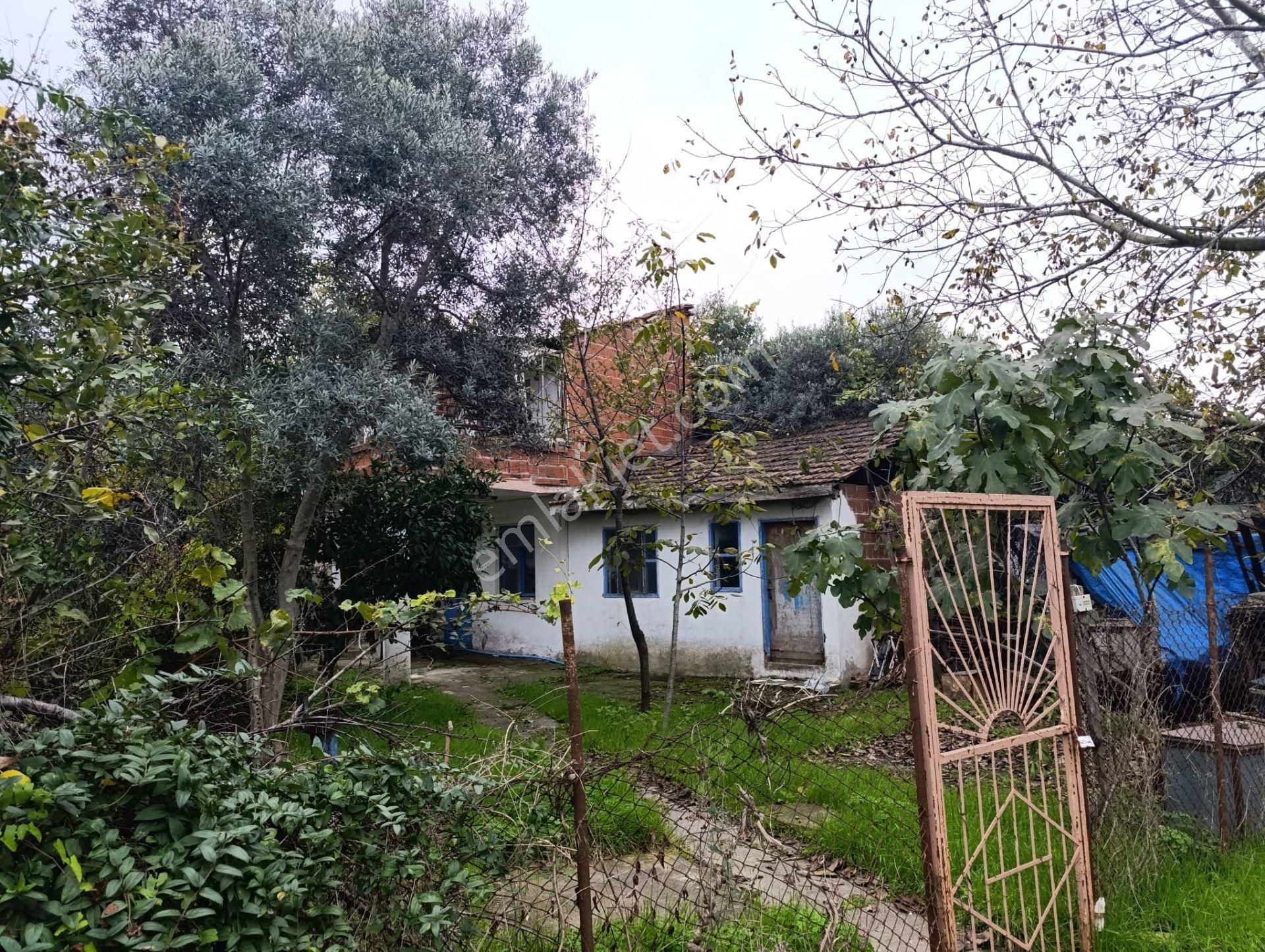 Mudanya Esence'de 176m2 Hobi Bahçesi - Görsel 2