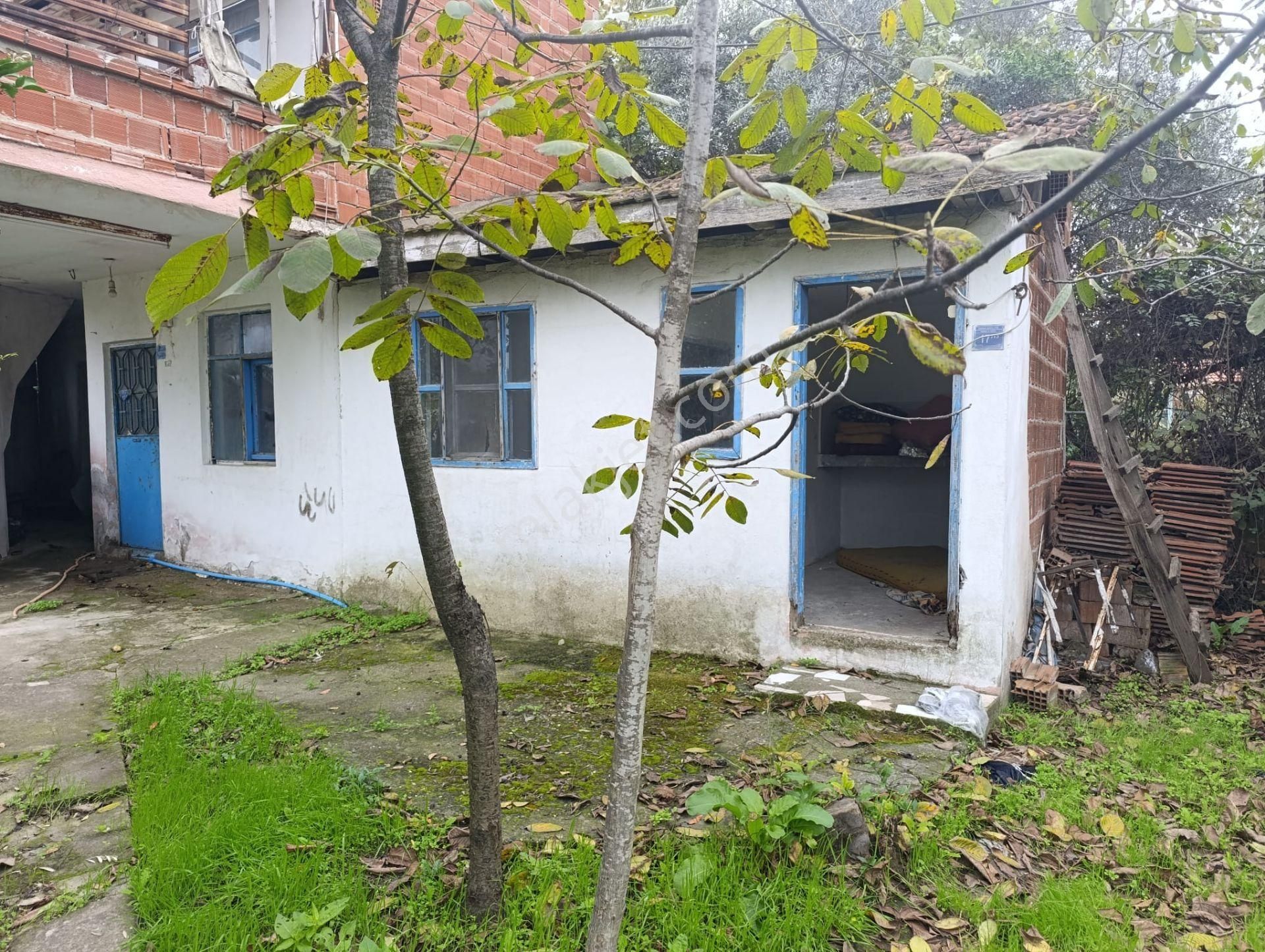 Mudanya Esence'de 176m2 Hobi Bahçesi - Görsel 6