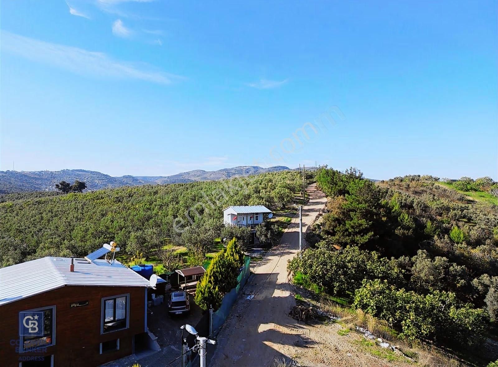 Bursa Bademli Çepni'de 360 Derece Bursa Manzaralı Satılık Arazi - Görsel 2