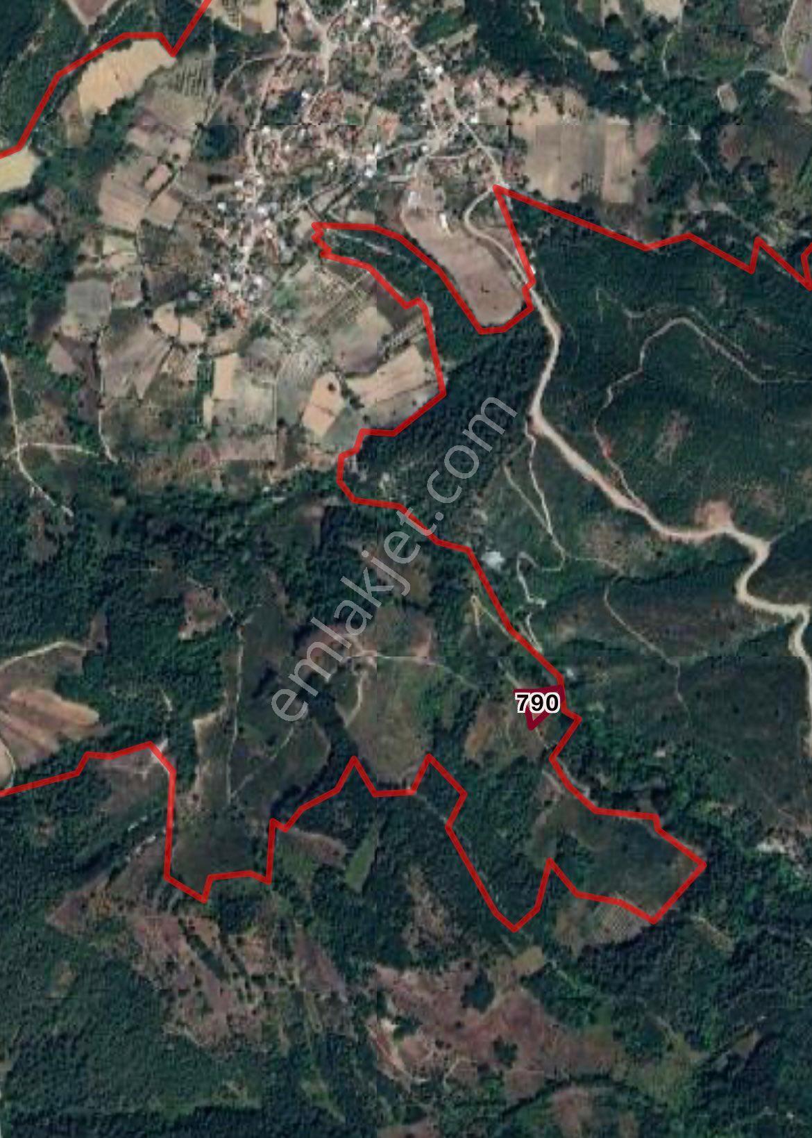 Bm Real Estate Bursa Mustafakemalpaşa’da Satılık Fırsat Fındık Arazisi - Görsel 3