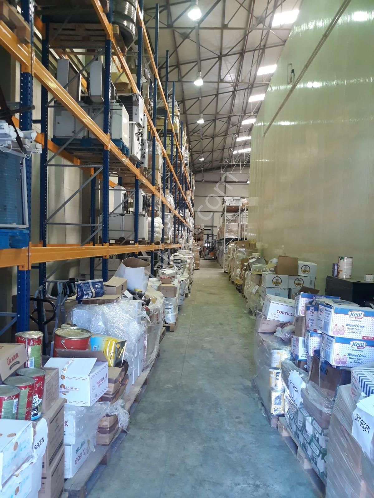 Muğla Menteşe Kafaca'da Kiralık 1000m2 Depo İşyeri - Görsel 4