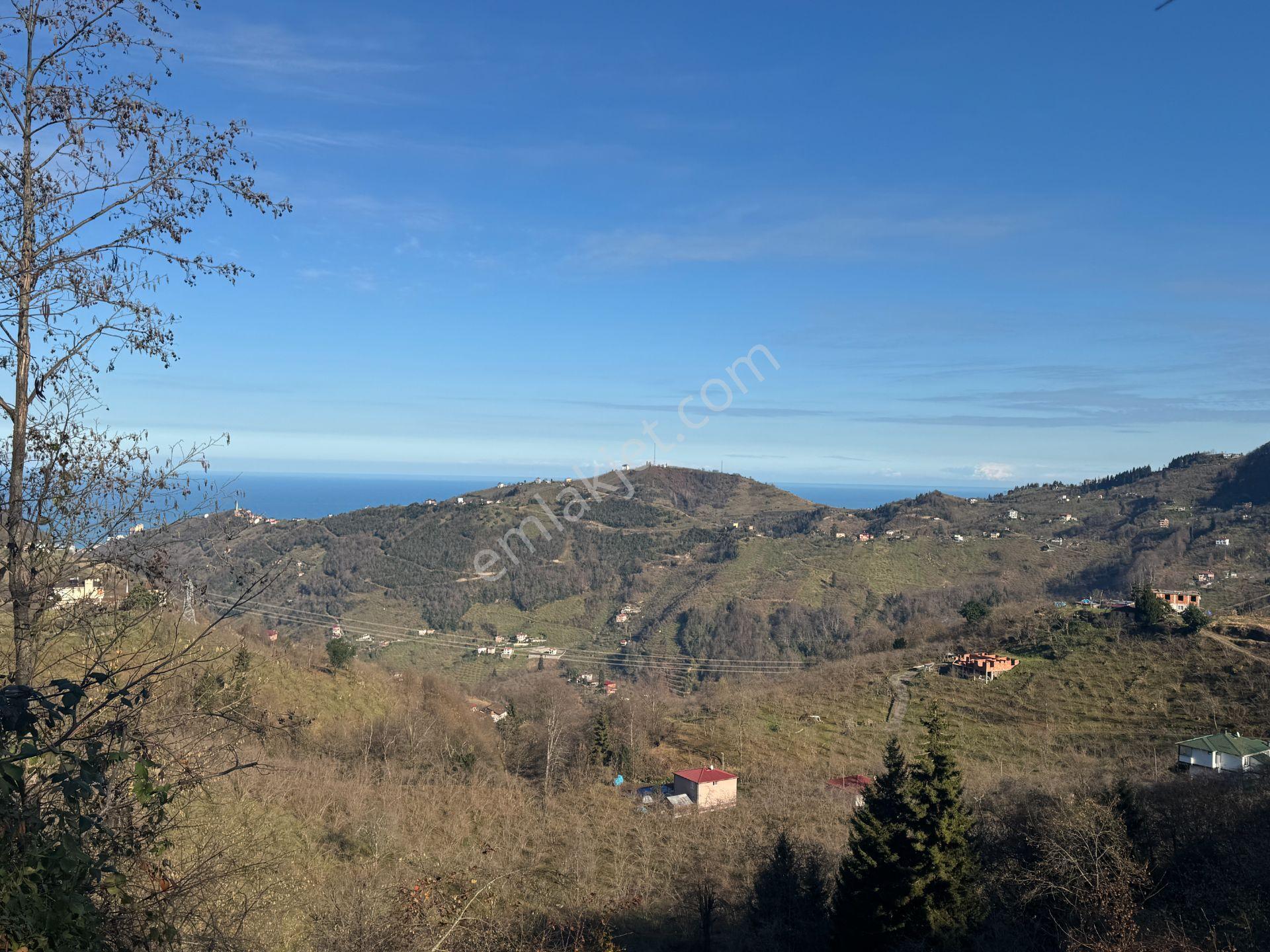 Trabzon Yomra Şanlı Mahallesi 8.136 M2 Satılık Arsa - Görsel 7