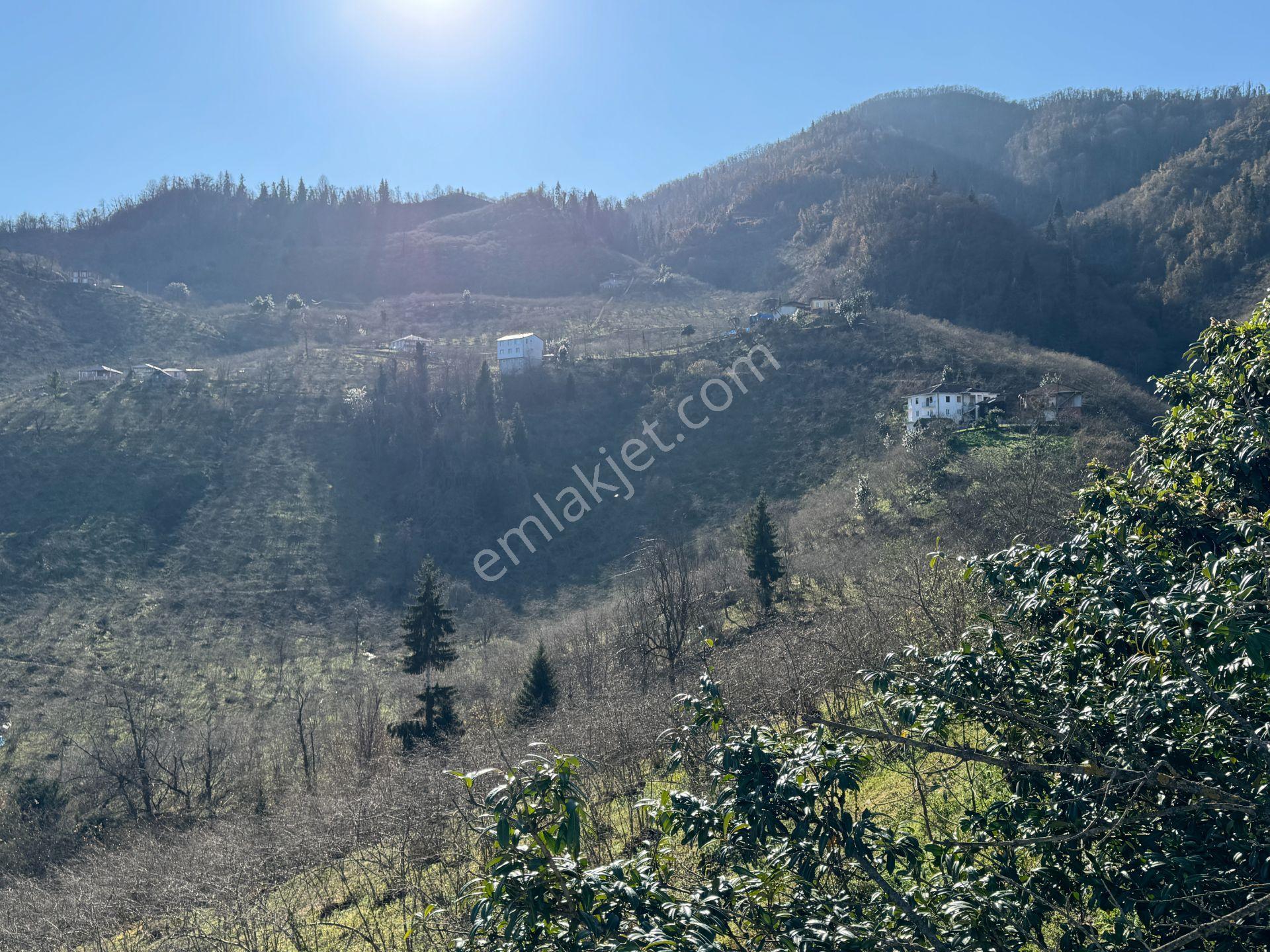 Trabzon Yomra Şanlı Mahallesi 8.136 M2 Satılık Arsa - Görsel 13