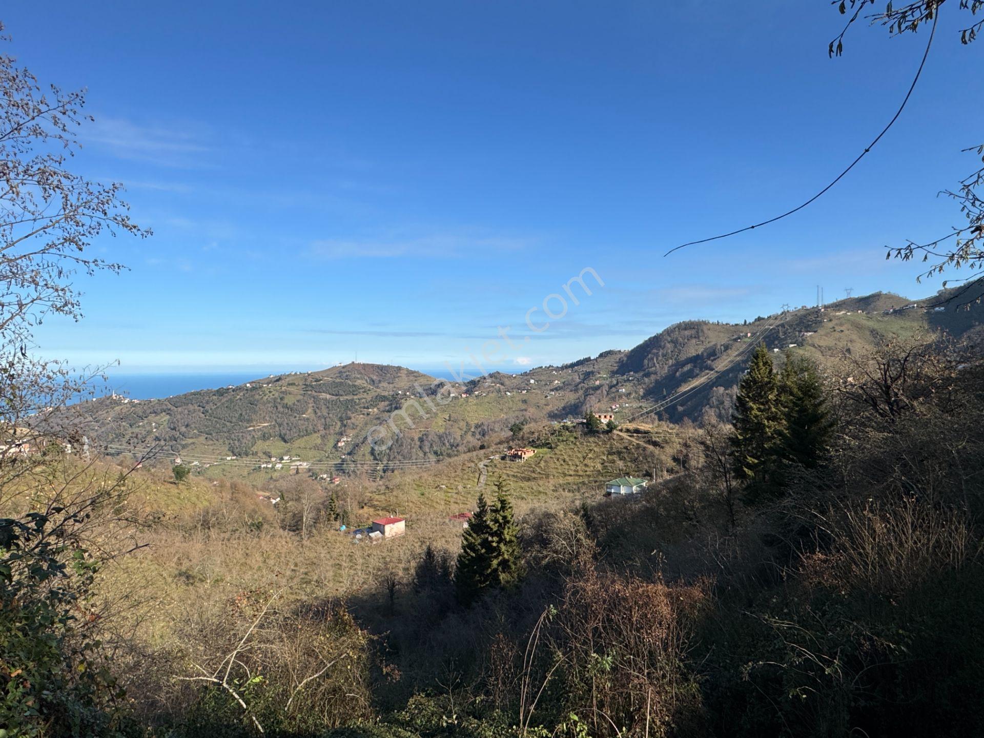 Trabzon Yomra Şanlı Mahallesi 8.136 M2 Satılık Arsa - Görsel 6