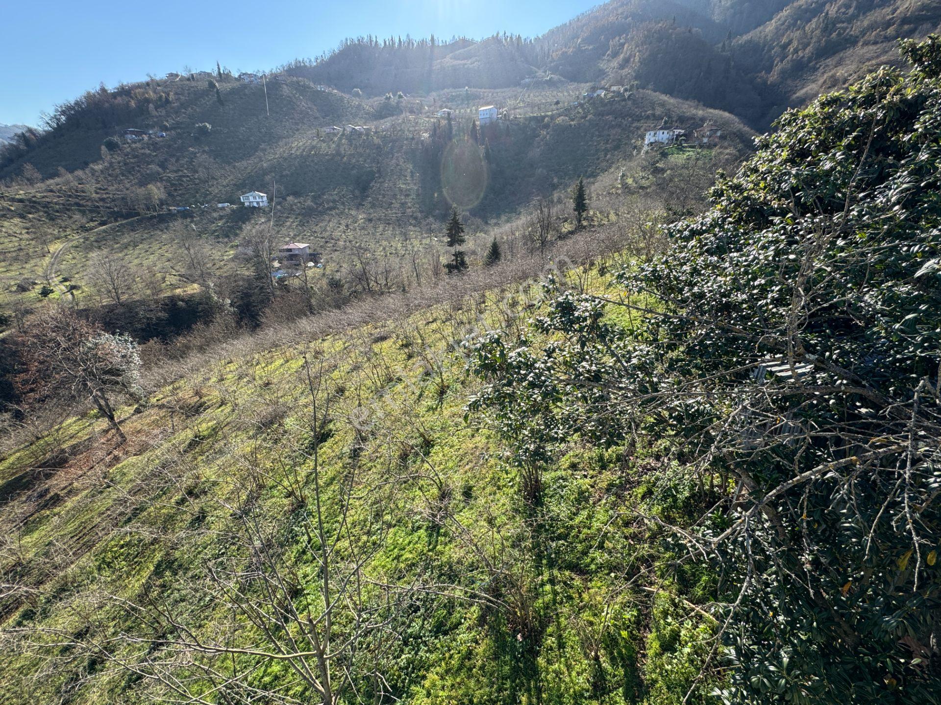 Trabzon Yomra Şanlı Mahallesi 8.136 M2 Satılık Arsa - Görsel 16